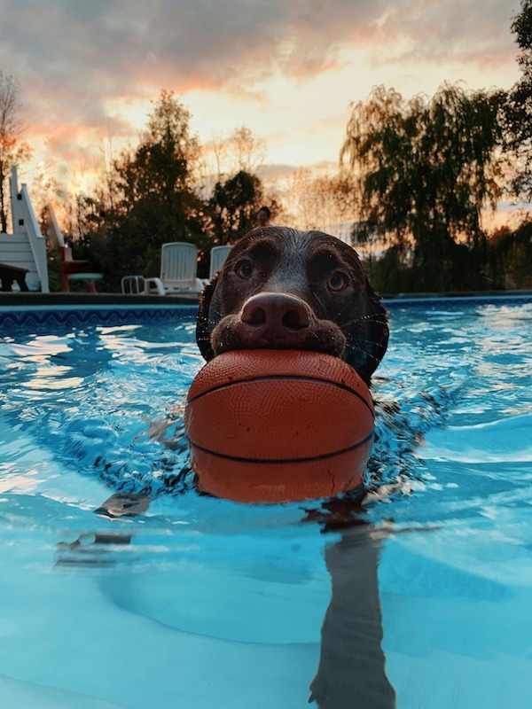 Affordable Pools Carlsbad